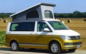 T5