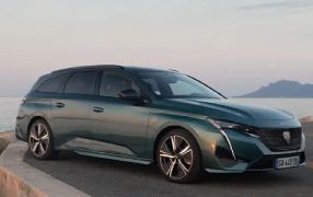 308 SW Hybride